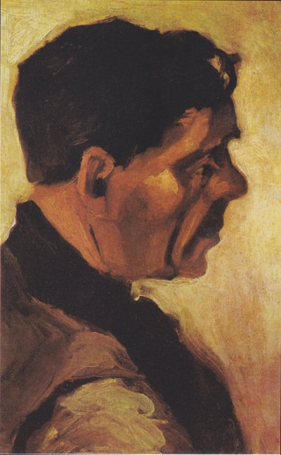 Hoofd van een boer door Vincent van Gogh